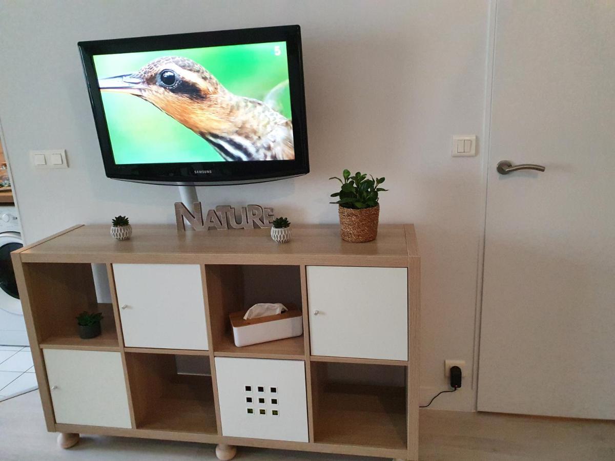 Magnifique Appartement Avec Garage Prive Et Terrasse Reims Dış mekan fotoğraf